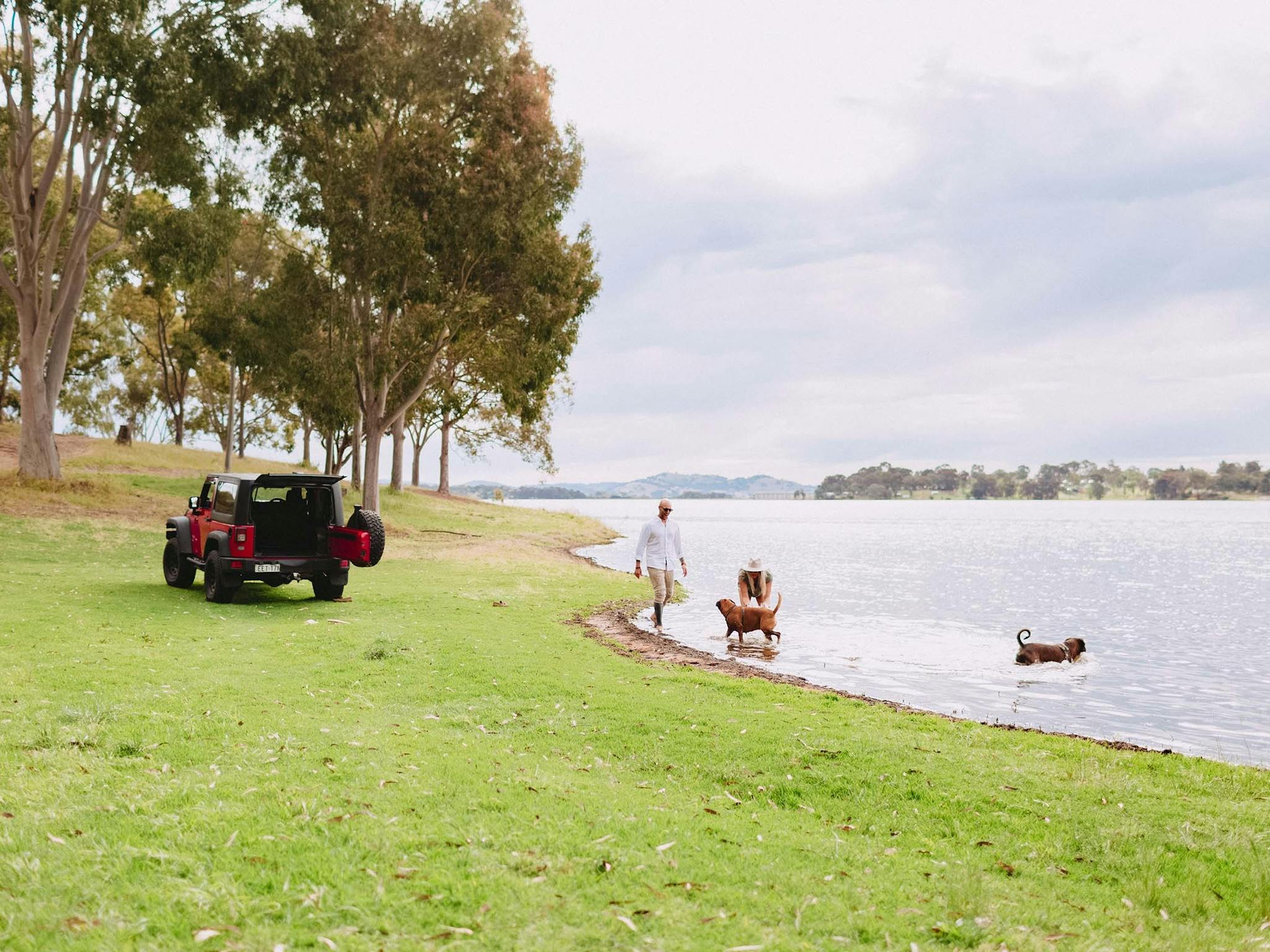 Couple playing with dogs in the water at Lake Hume