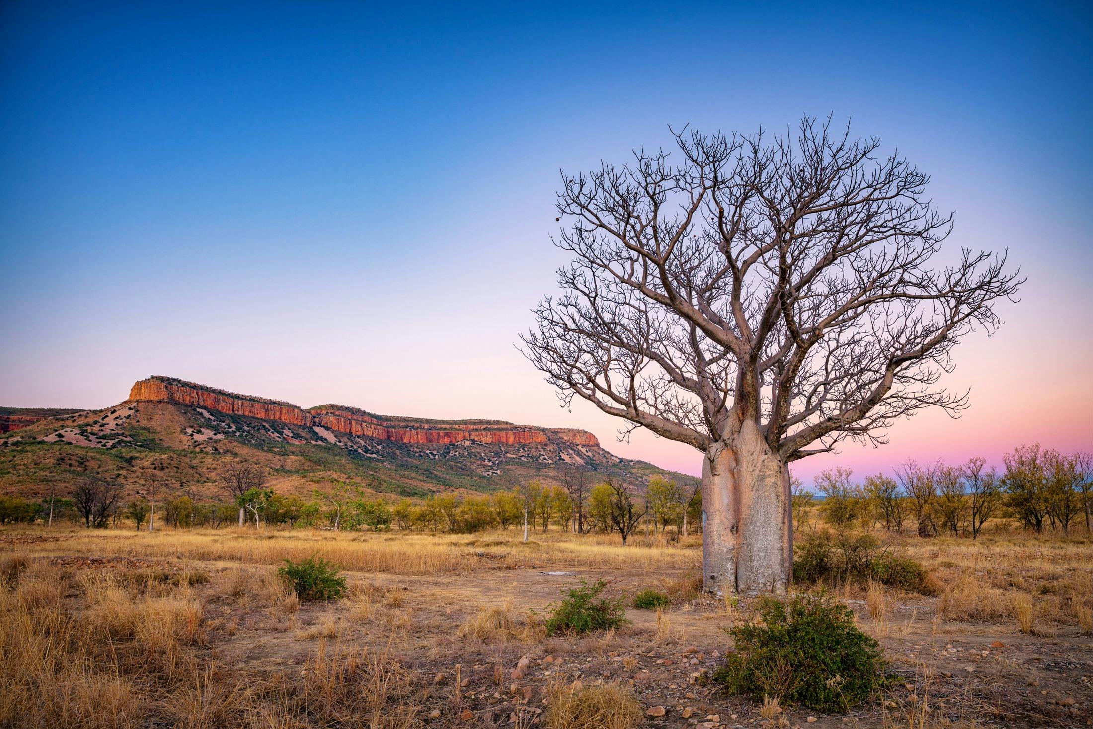 Kimberley 12 Day Tour