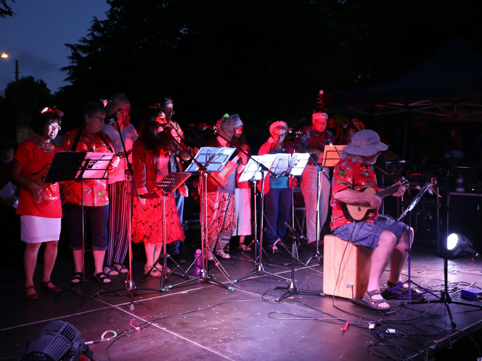 Image for Christmas Carols in Town Park