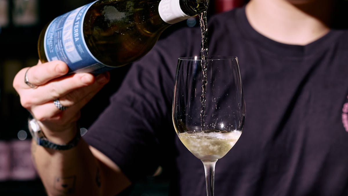 Our Wines
