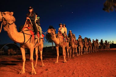 Camel to Sunrise