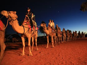 Sunrise camel experience