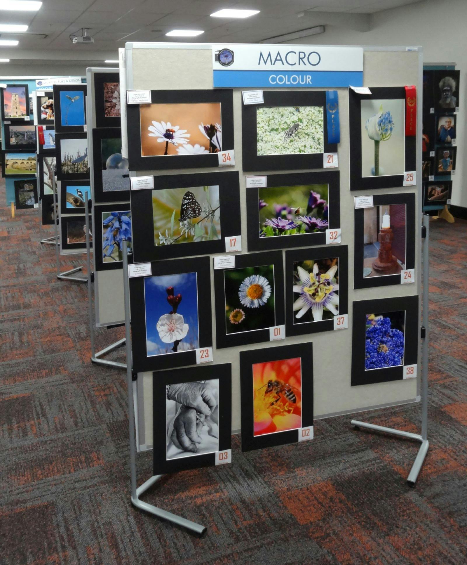 Rows of boards showcasing a variety of photographs and their categories.