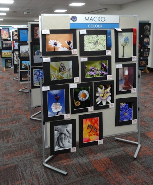 Cherry Festival Photographic Competition and Exhibition - Official Opening