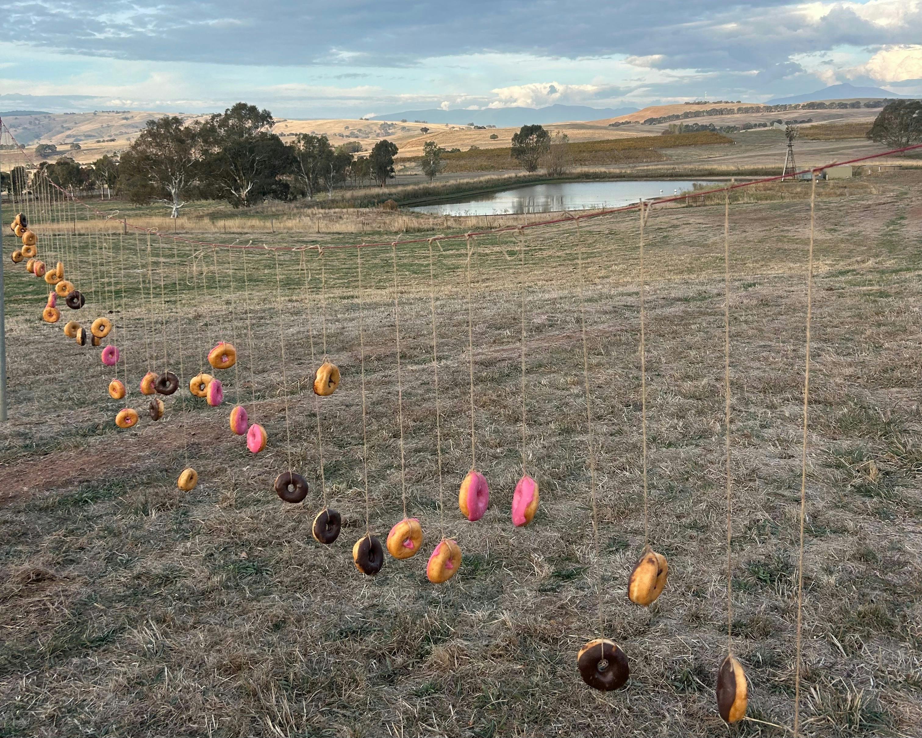 Donuts on a string with a dam in the background