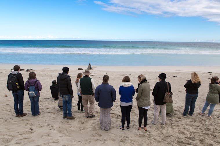 Overnight Tour 2 Day Kangaroo Island Adventure Tour