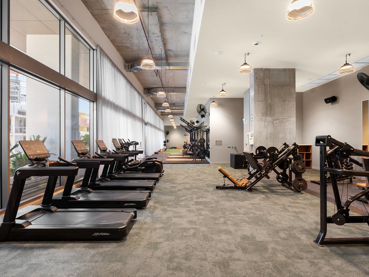Spacious gym with a row of treadmills and other gym equipment facing floor to ceiling windows.