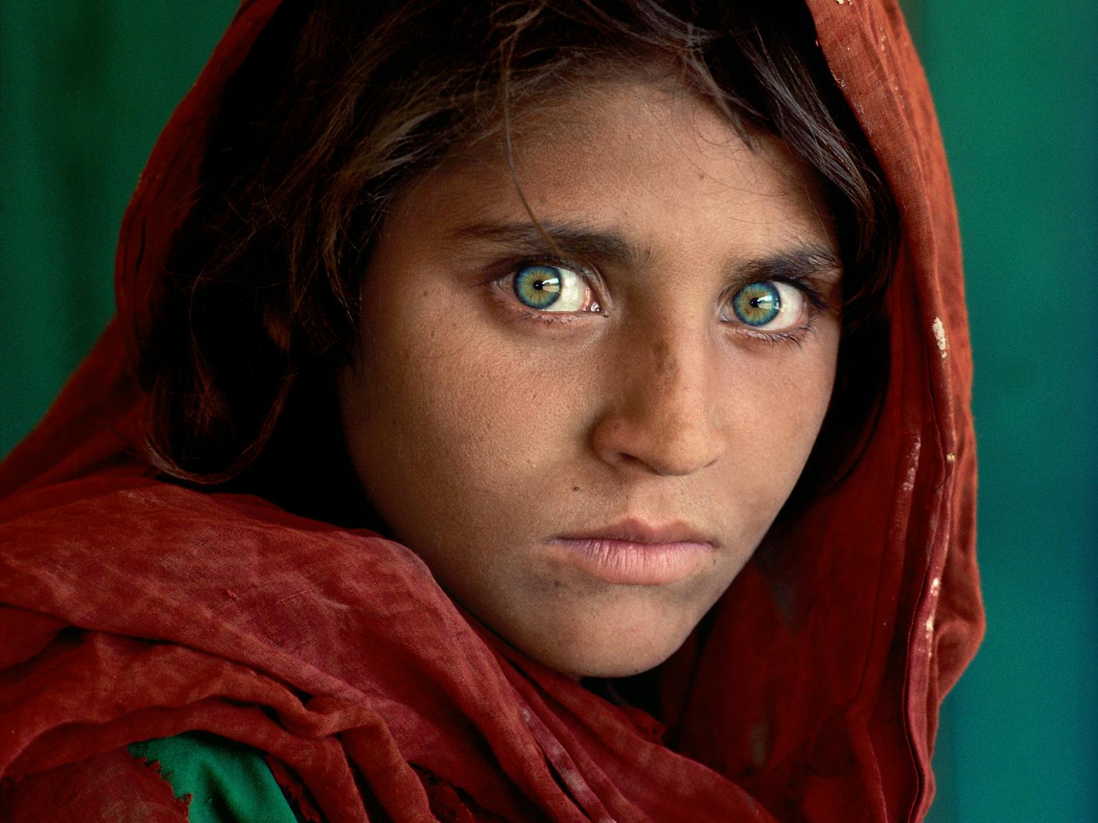 Image for Steve McCurry's ICONS