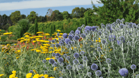 Lambley Nursery and Gardens