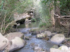 Bomaderry Creek Regional Park Bomaderry Creek Regional Park