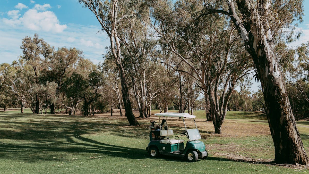 Golf Cart on green course