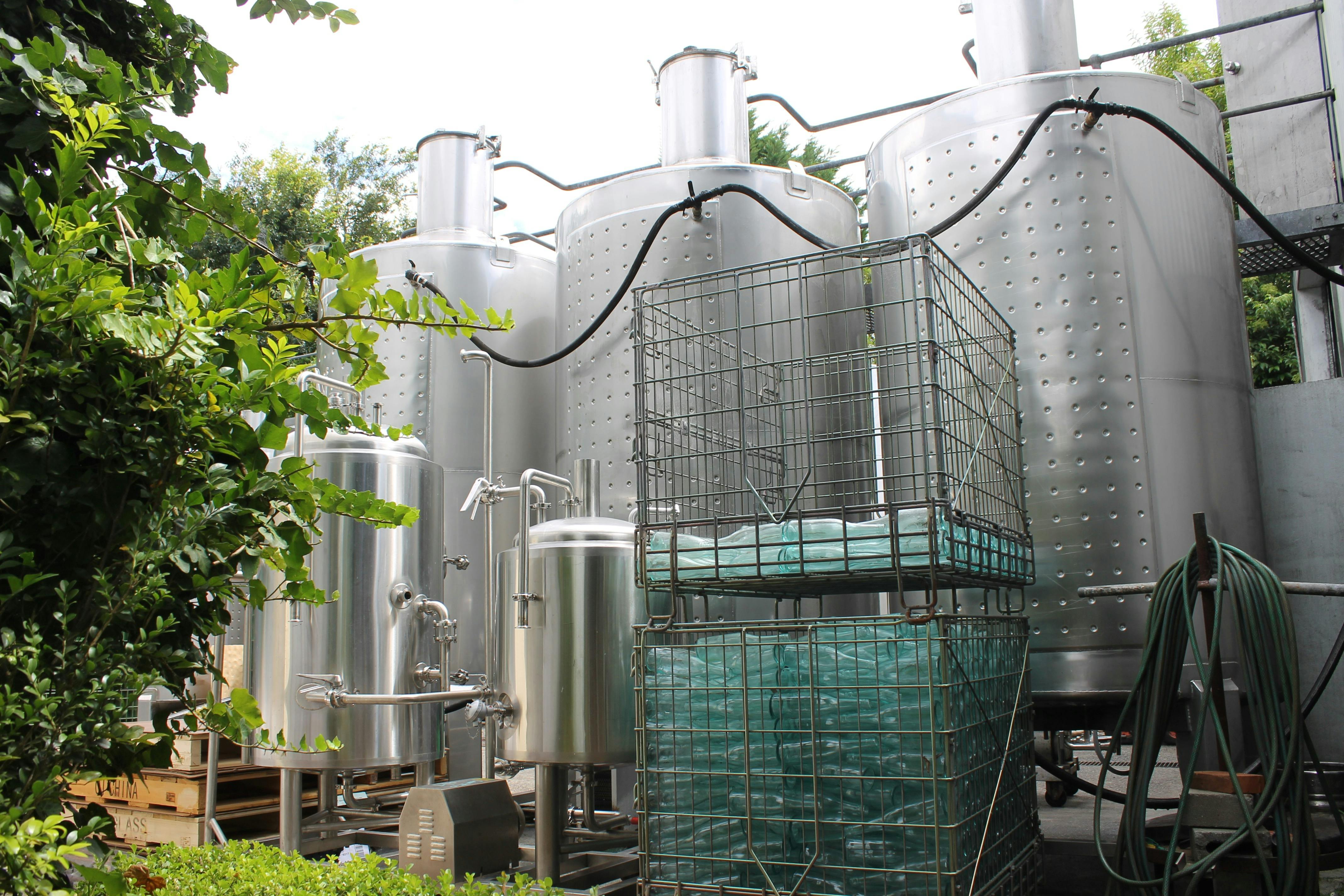 Winery amongst the trees