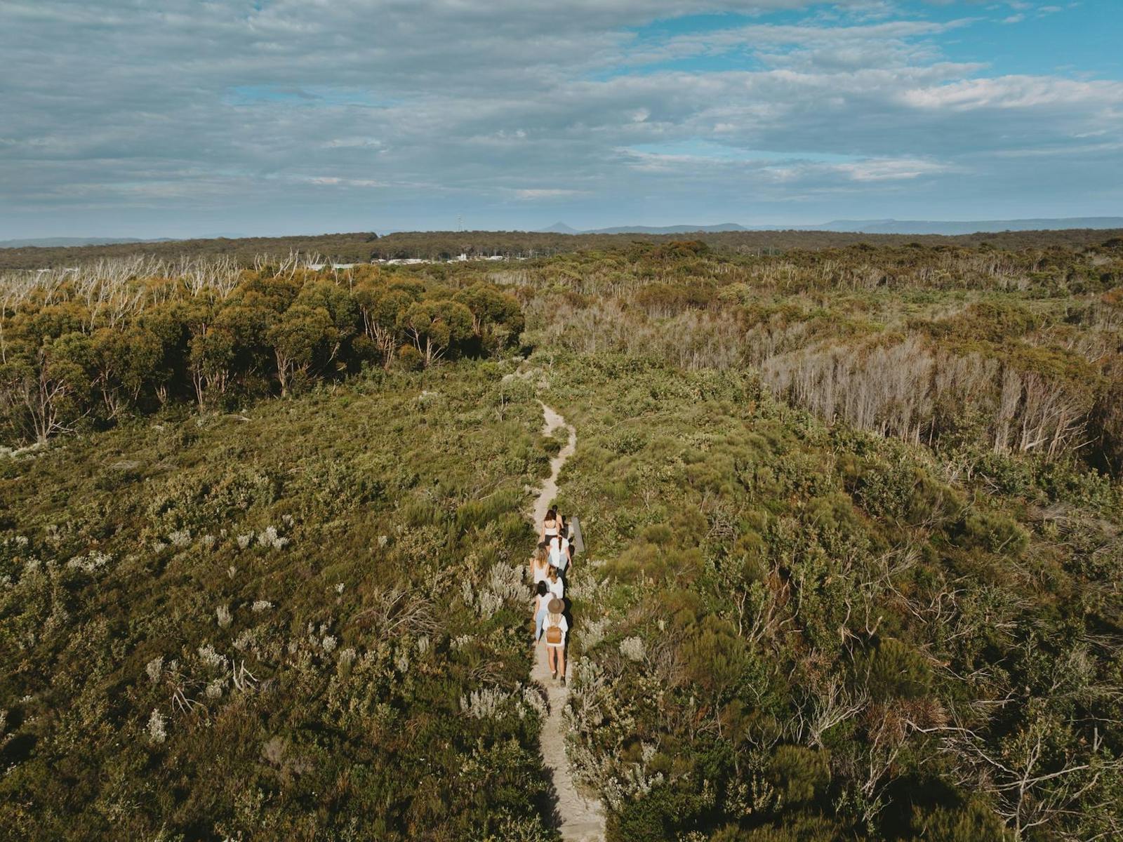 South Pacific Heathland Walk