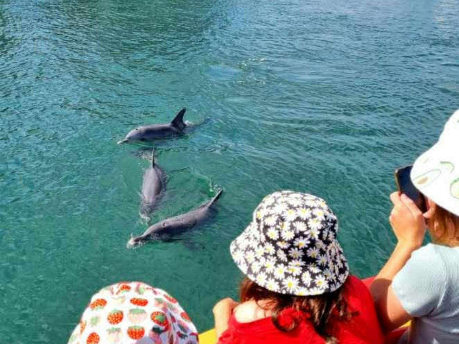Spotting bottlenose dolphins