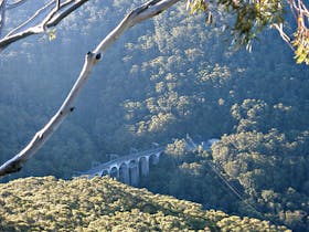 Forest Walk to Sublime Point Track