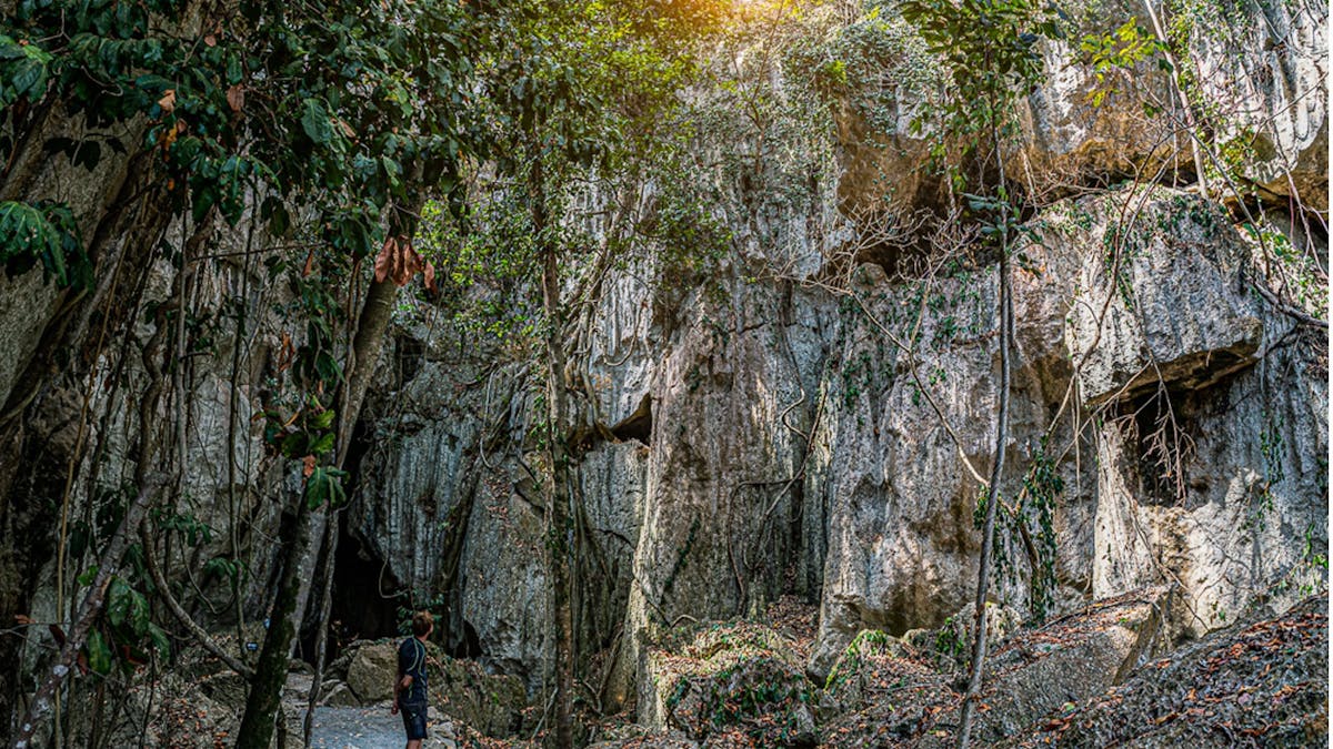 Capricorn Caves