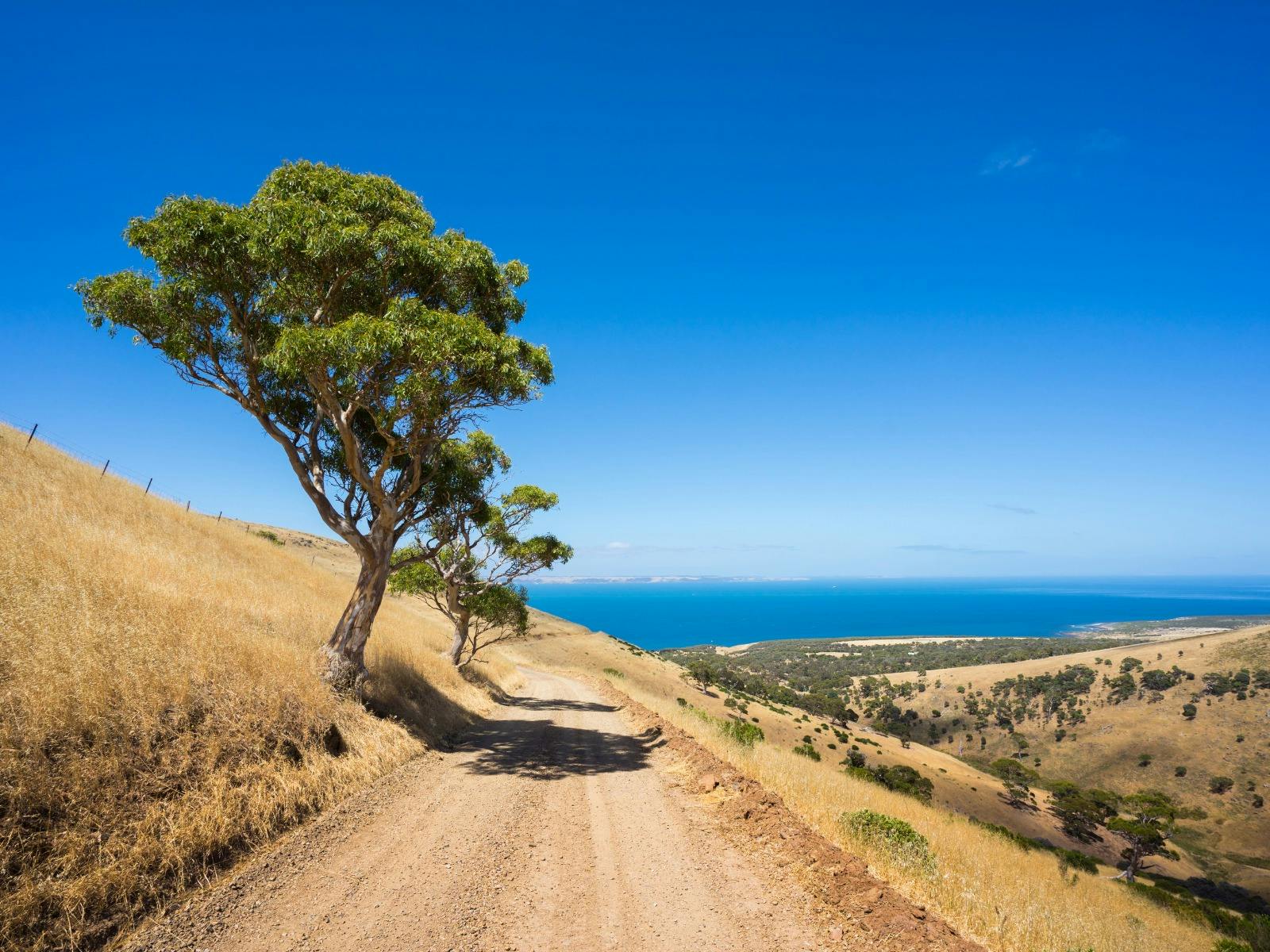 Road with Southern Ocean in background
