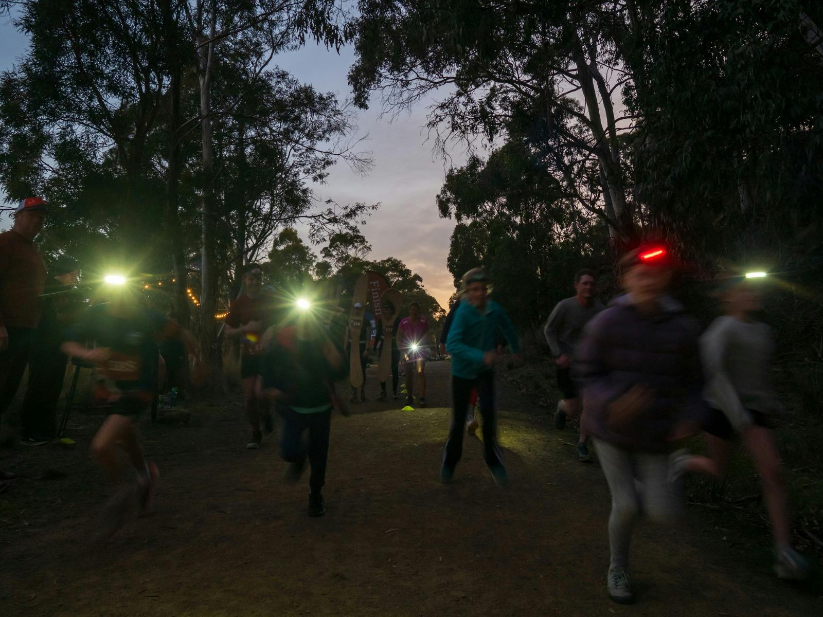 Runners' headtorches glow and runners are silhoutted again the trees and sunset behind them