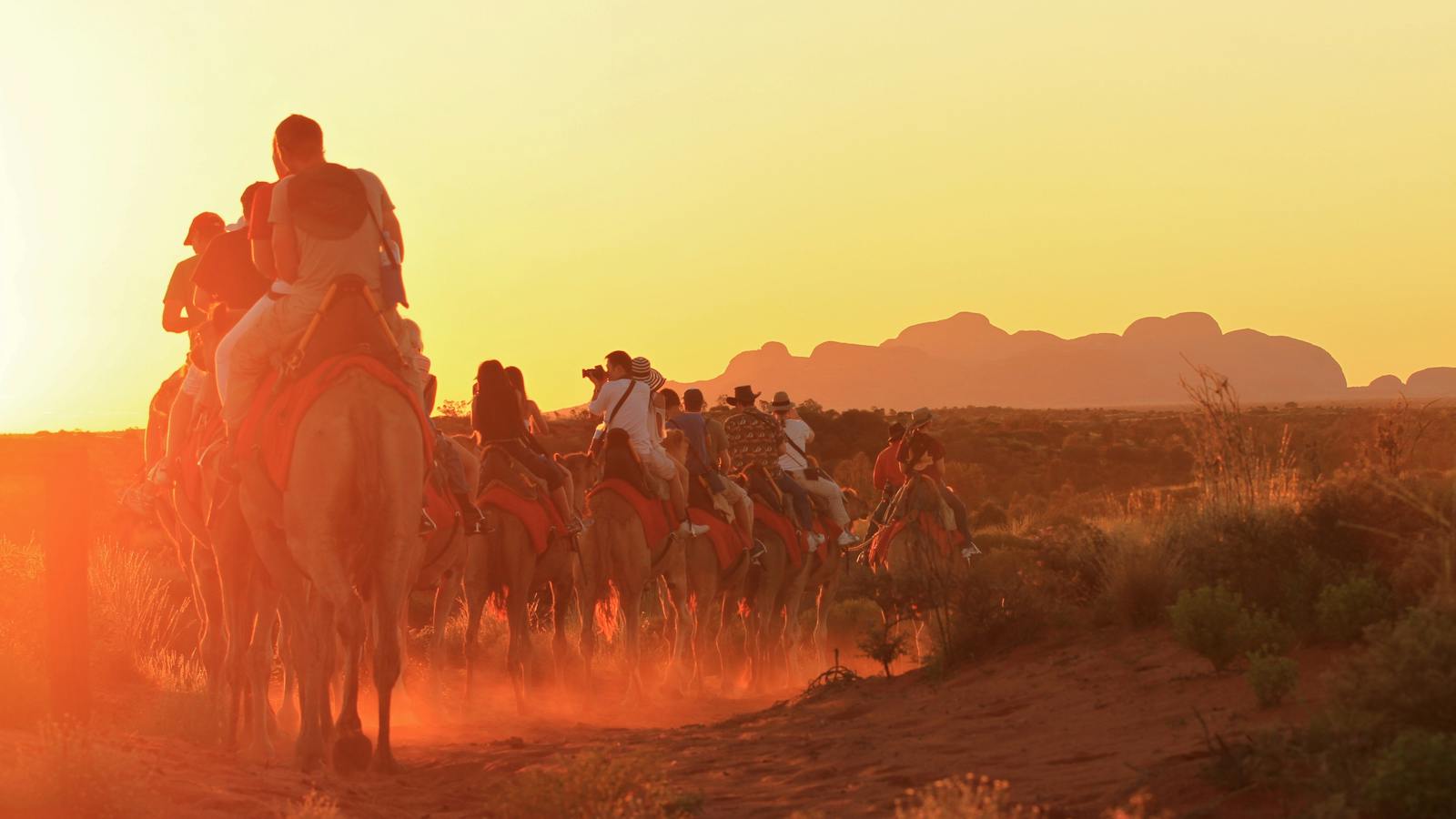 Sunset camel experience
