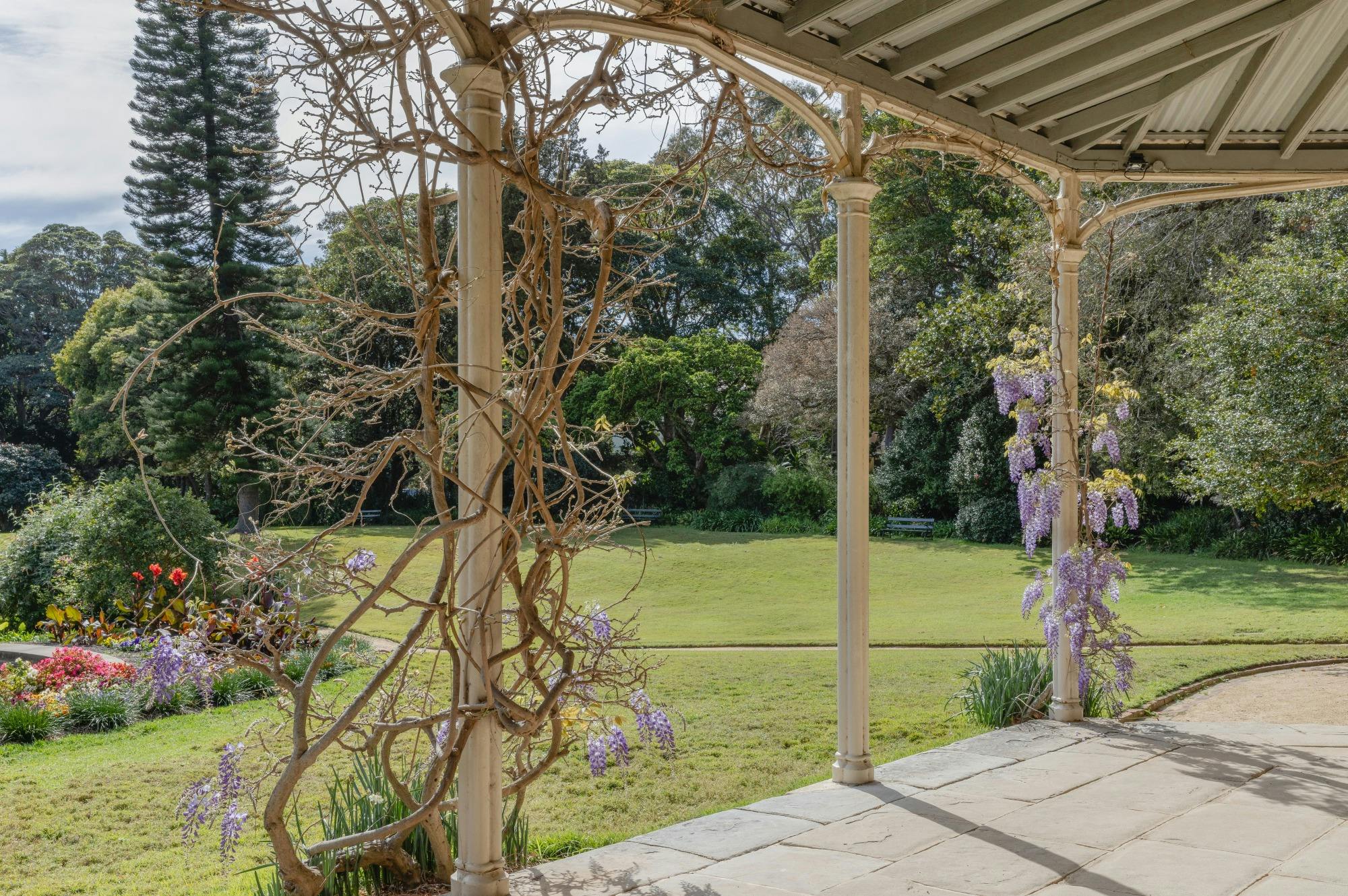 Exterior of historic house with wisteria growing up pillars