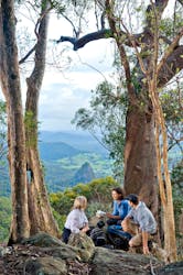 Country Charm™ Discovery Tour