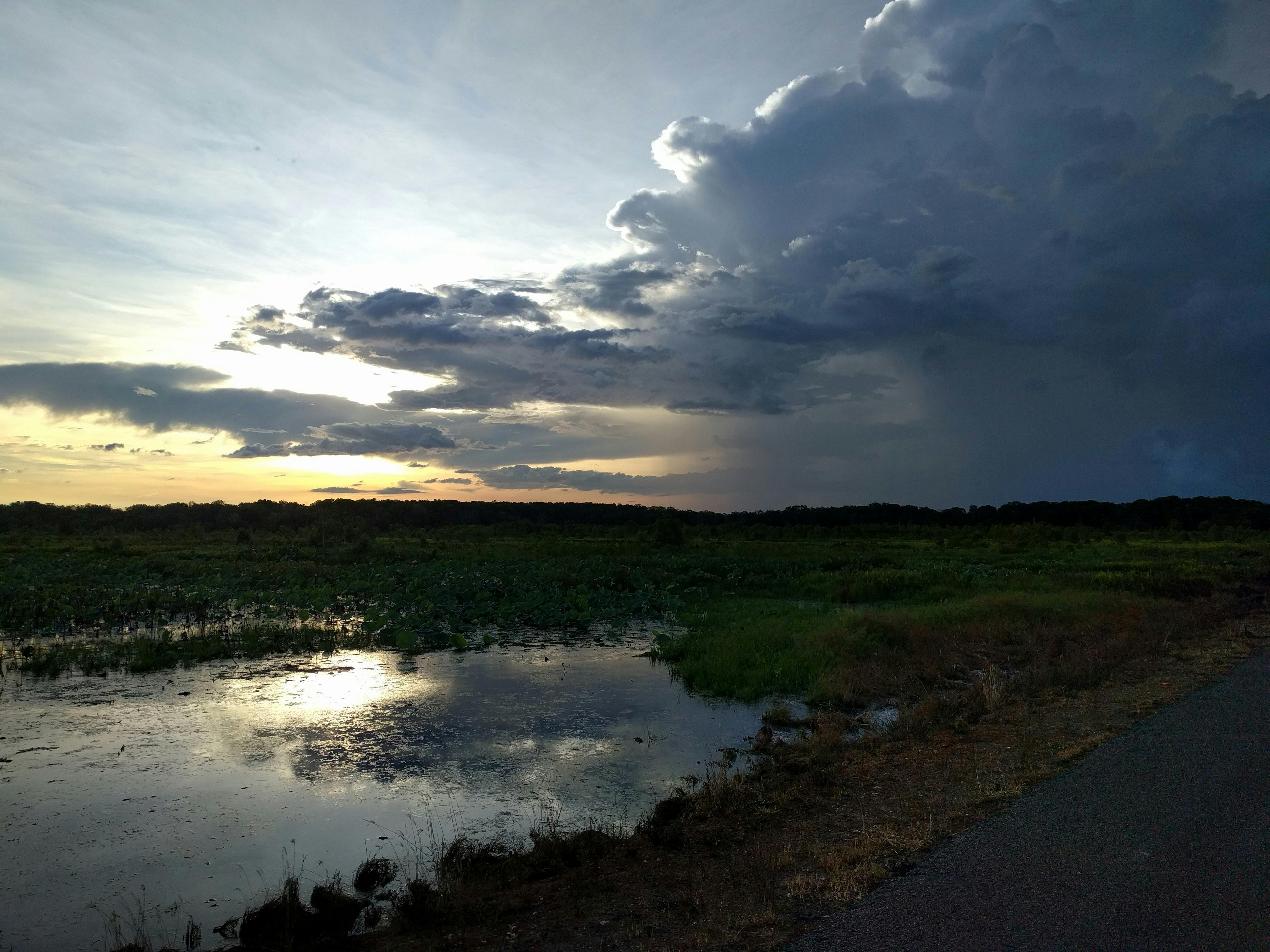 Fogg Dam Conservation Reserve