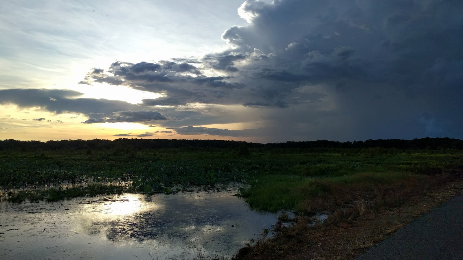 Fogg Dam Conservation Reserve