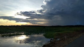 Fogg Dam Conservation Reserve