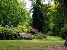Park bench at George Tindale Memorial Gardens
