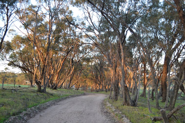 Moppa Bush Retreat