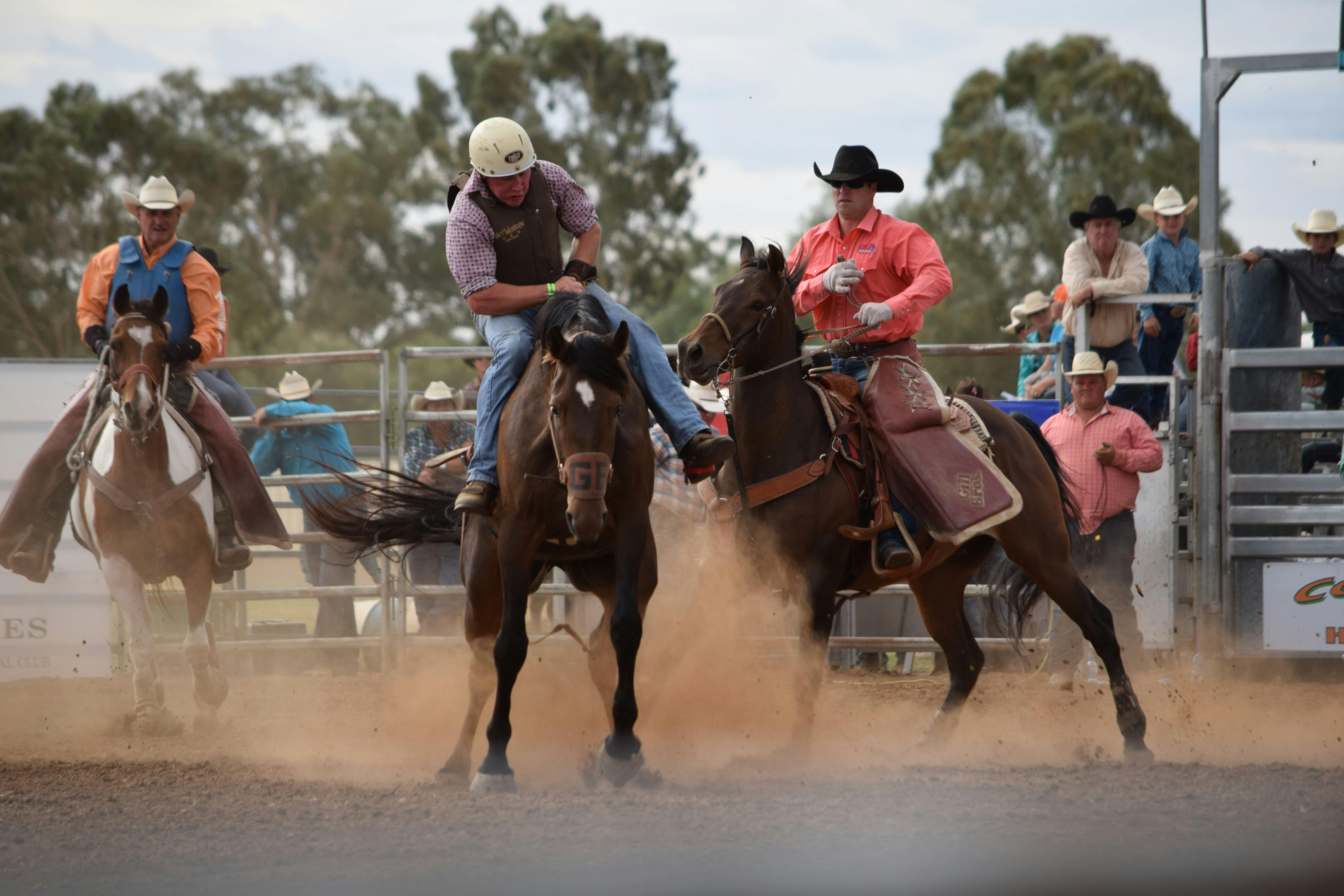 West Wyalong Horse Sports and Rodeo