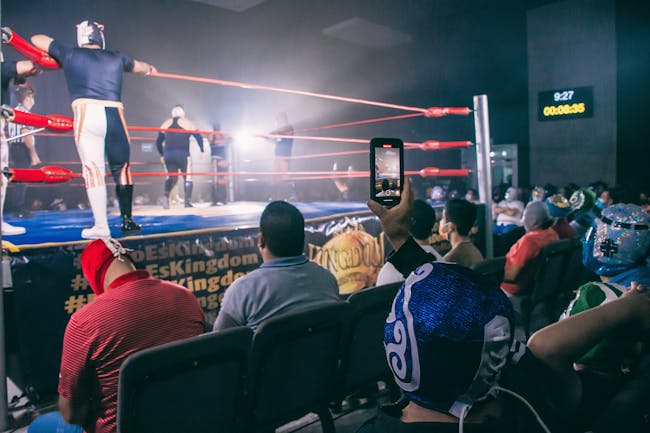 Pro Wrestling