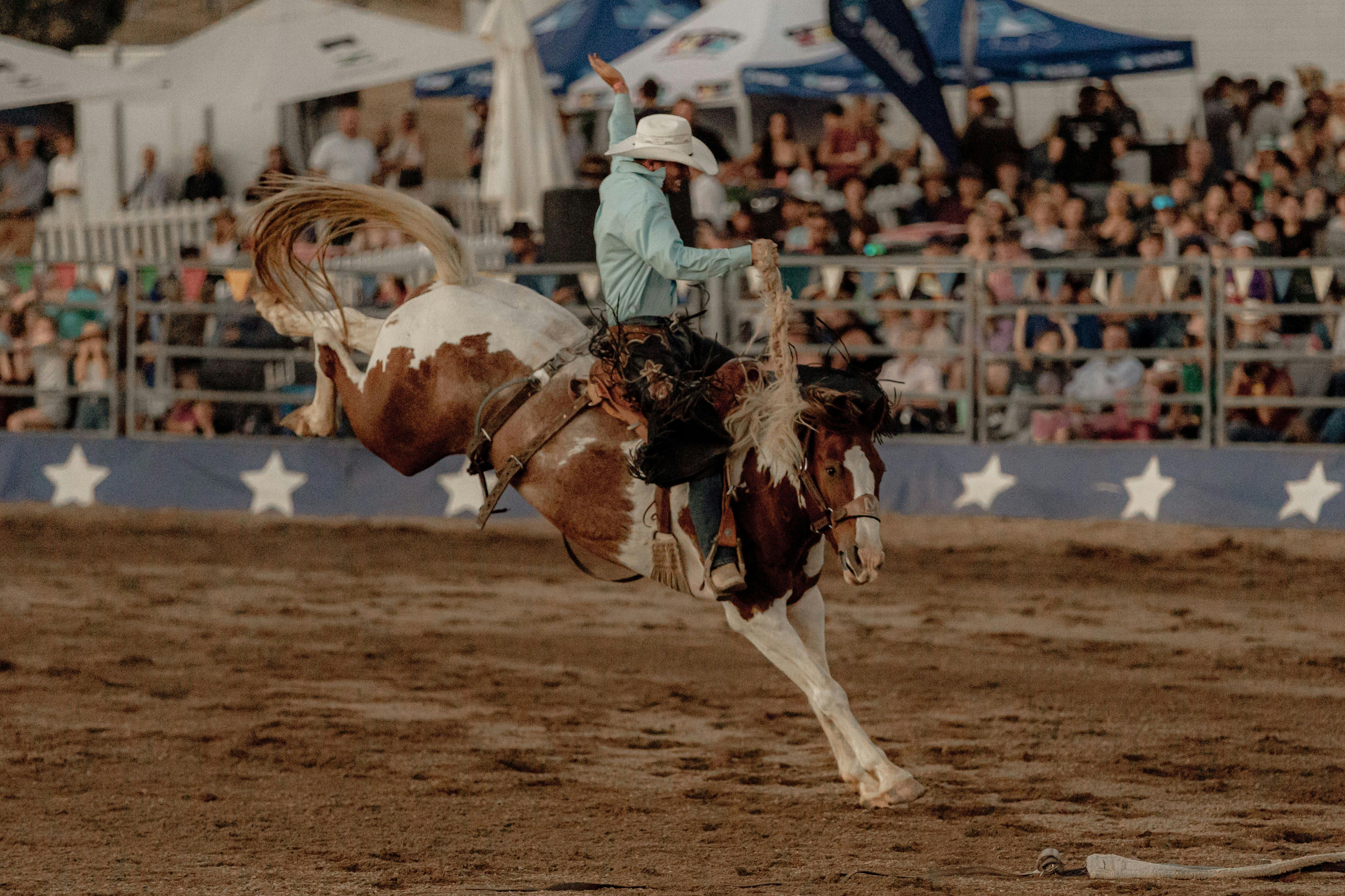 bronc rider with crowd in the background