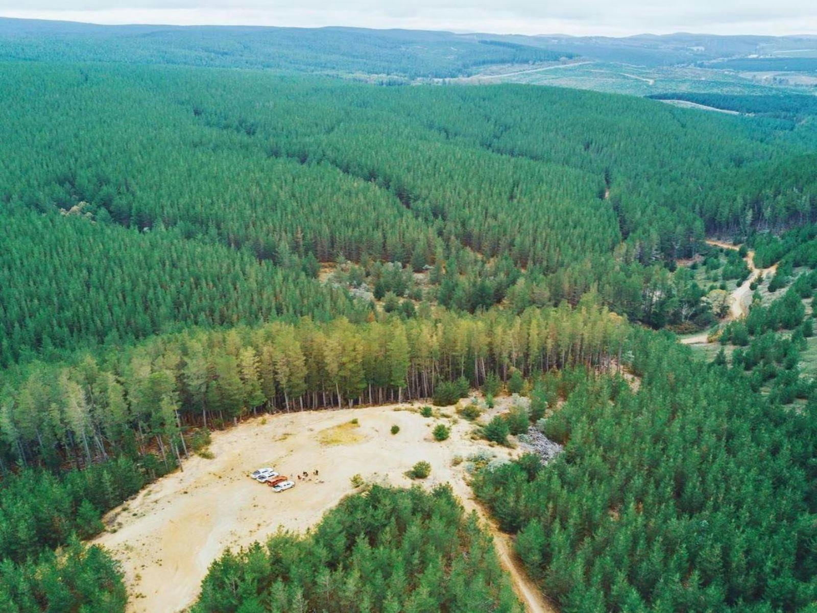 Sunny Corner Circuit NSW Holidays & Things to Do