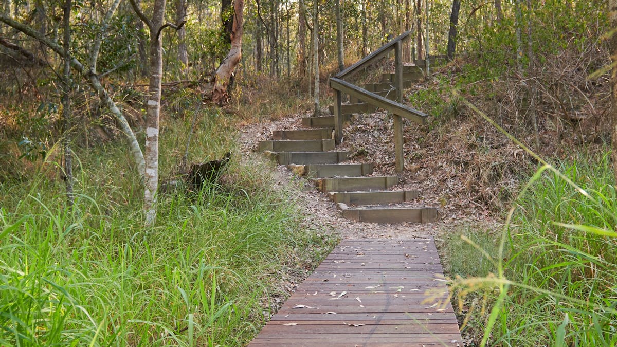 Walter Zimmerman Park