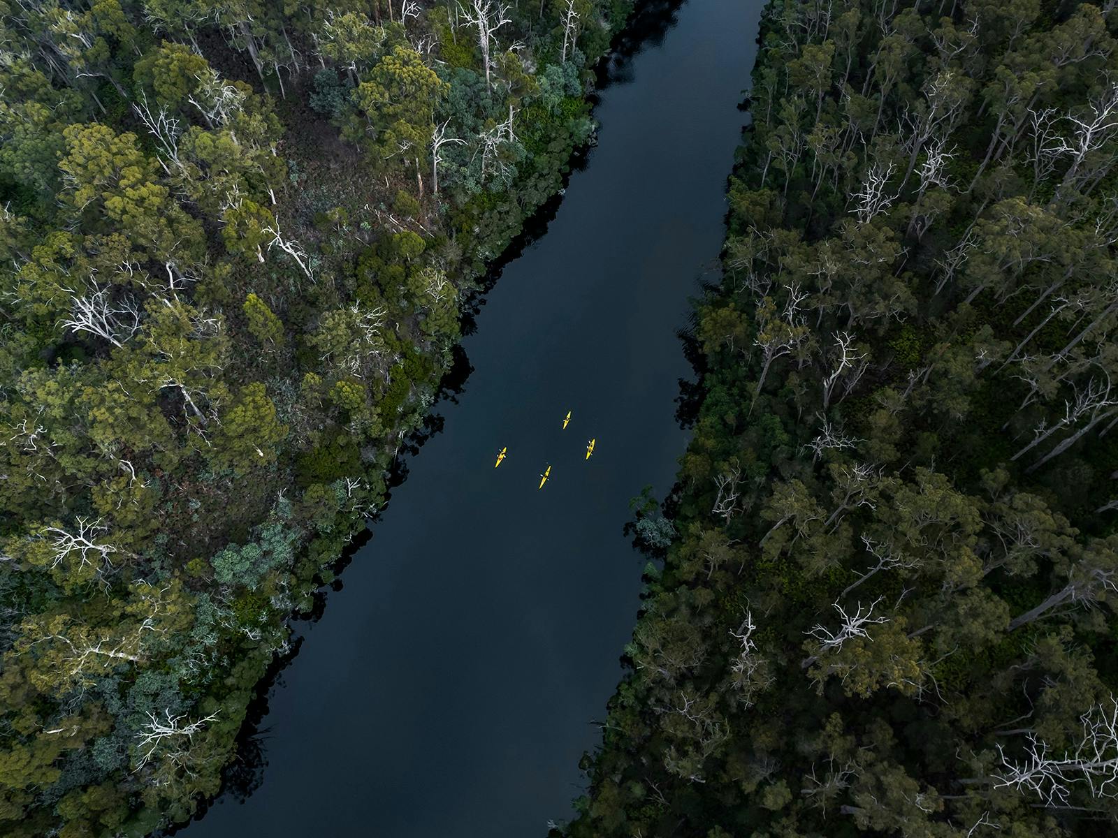 Bay of Fires Lodge Walk  kayak