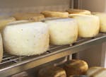 Cheese factory