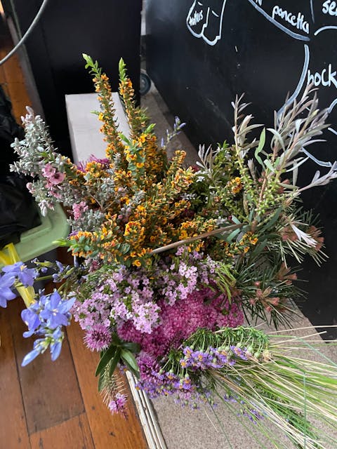 Vines and Caves - Exploring the Valley 58 fa031b4cc9d39040f54e318325a84e68