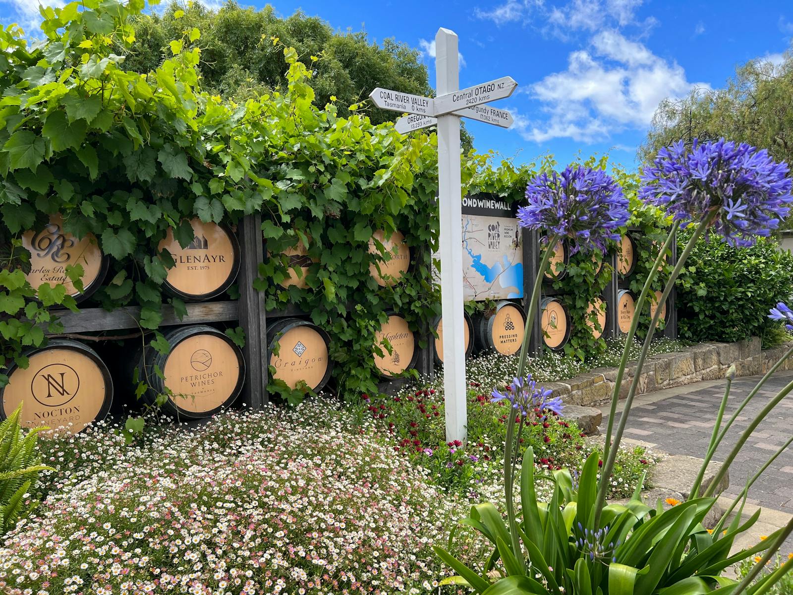 Courtyard Wine display at Richmond