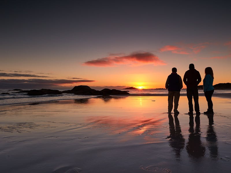 Walking, wellness and connection with nature image