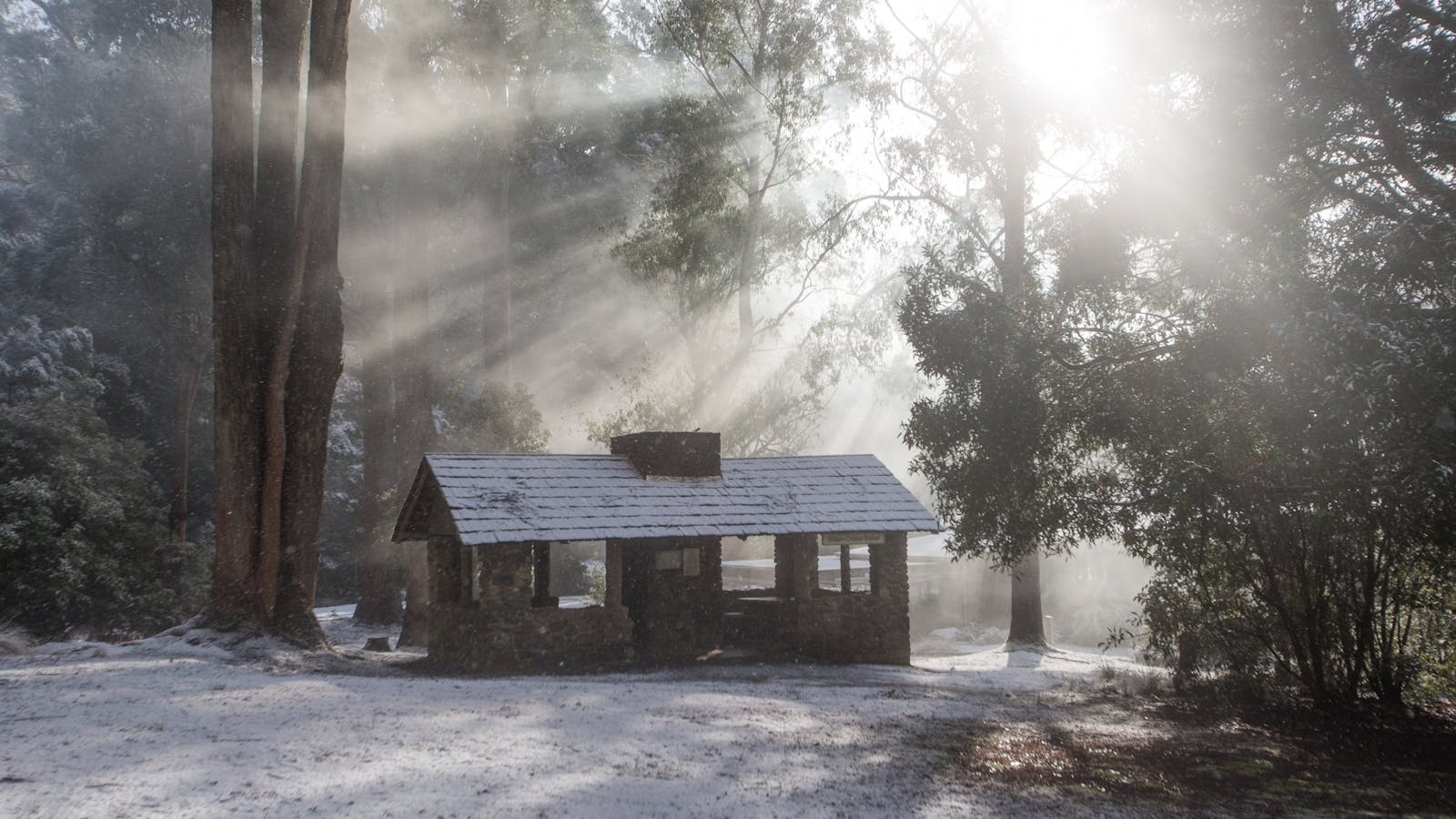 Snow in Mt Field National Park