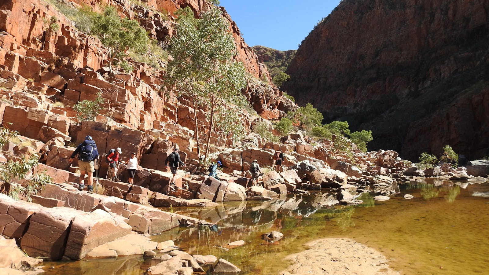 Trek Larapinta