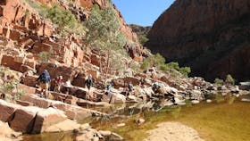 Larapinta Trail