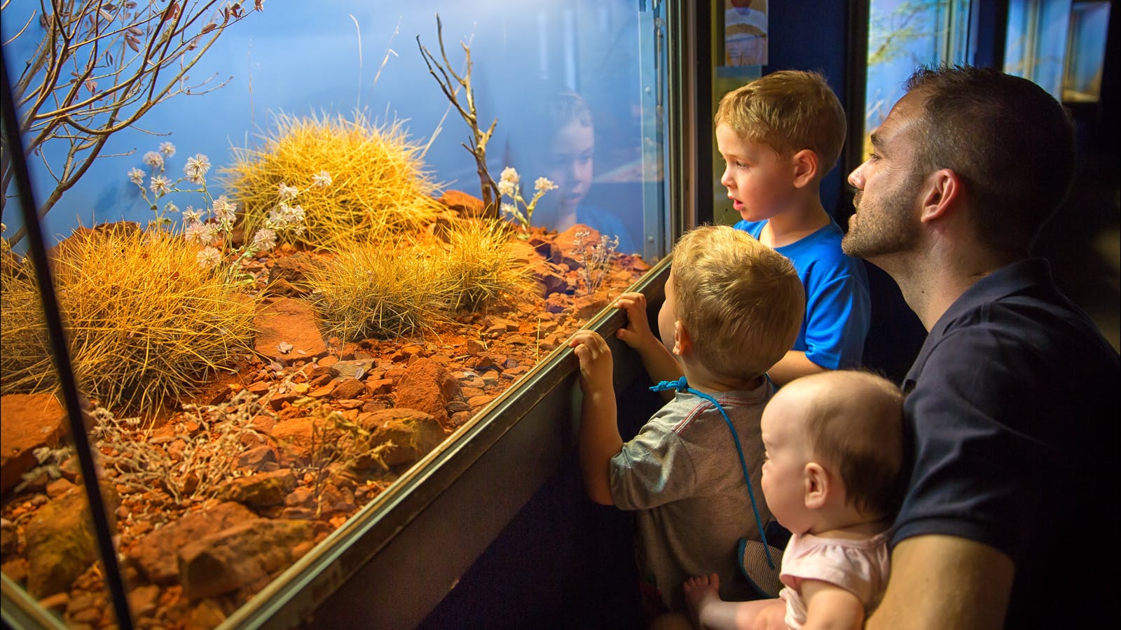 Alice Springs Desert Park
