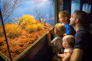 Alice Springs Desert Park