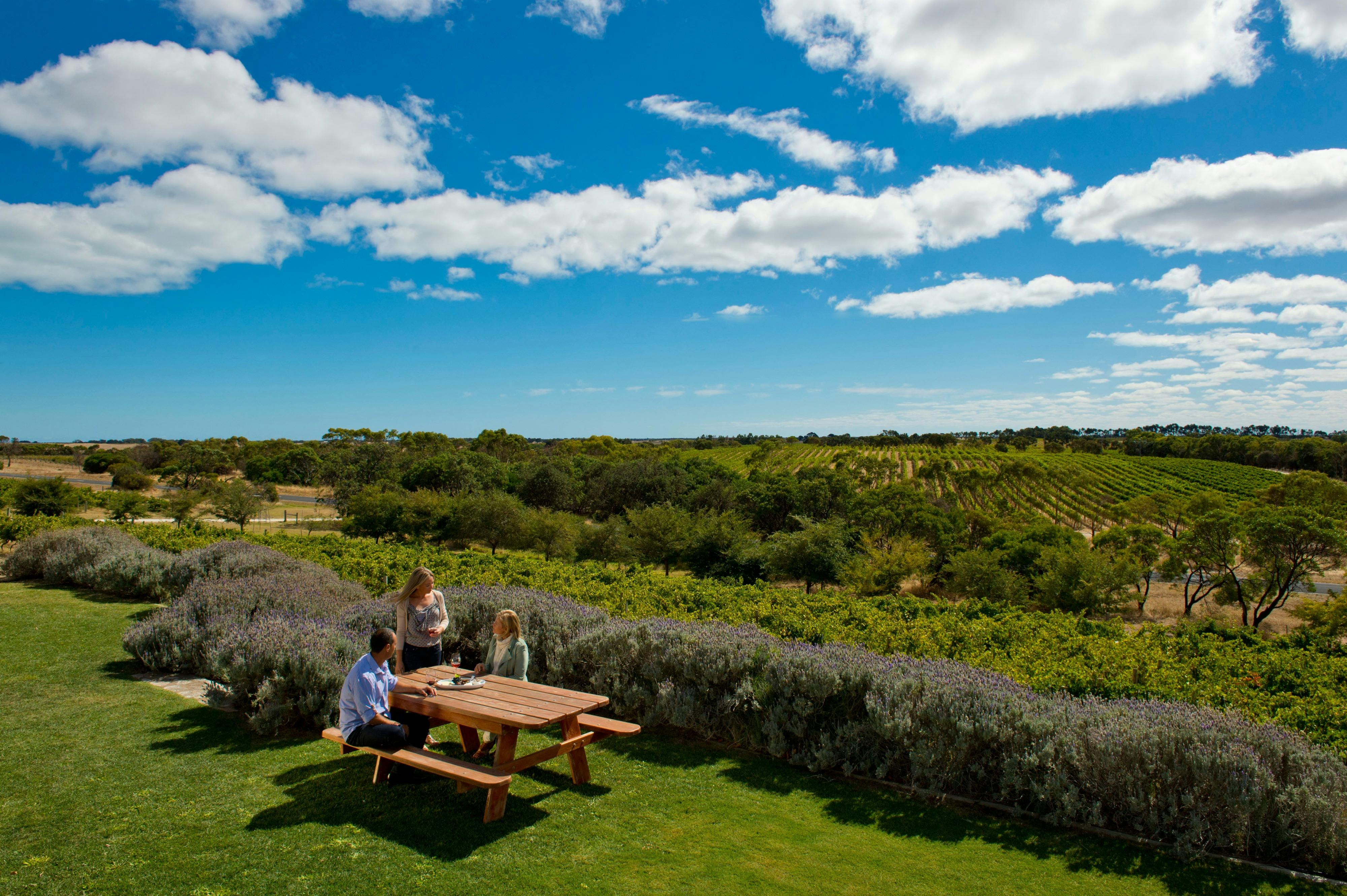 Cape Jaffa Wine Region