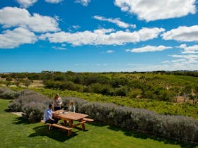 Cape Jaffa Wine Region
