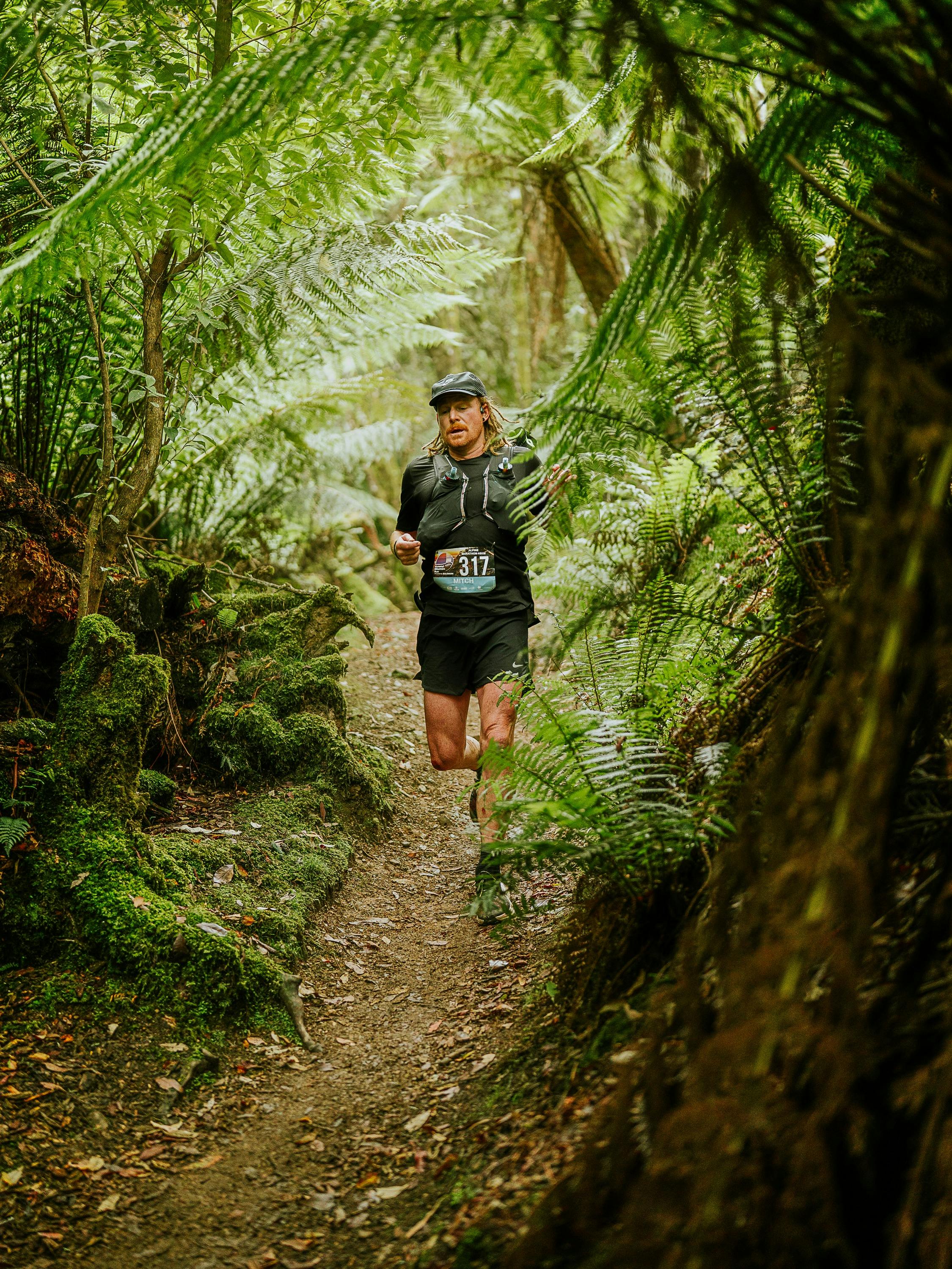 A runner passes through tall ferns