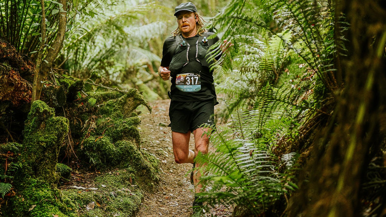 Running through ferns