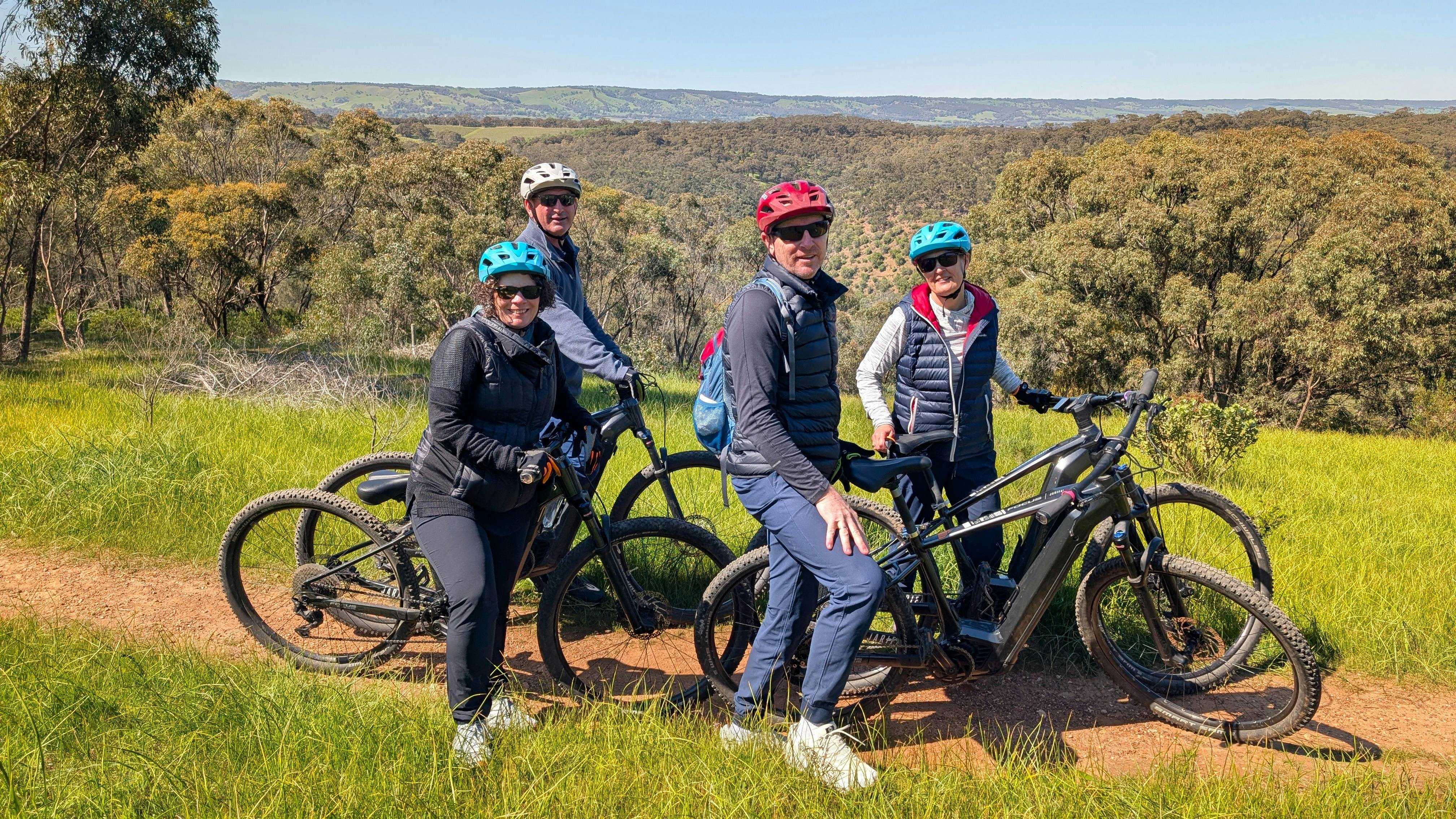 McLaren Vale private ebike tour